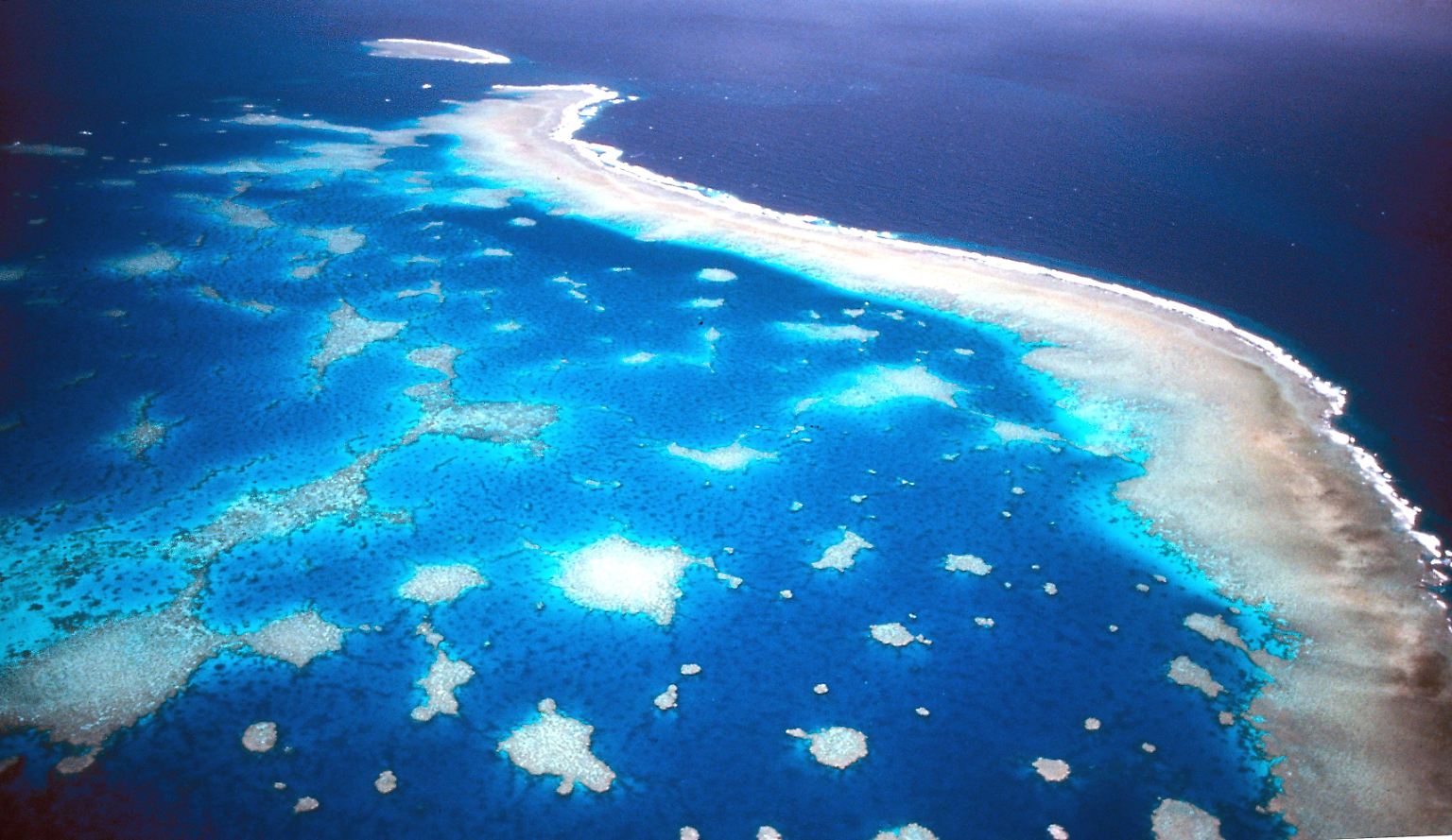 Das Great Barrier Reef ist das größte Korallenriff der Erde und wohl das eindrucksvollste. 