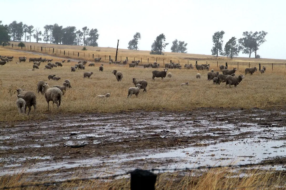 Australien-regen-nach-duerre
