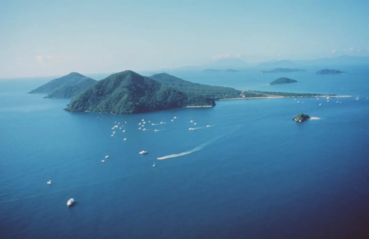 Australien-tropischer-regenwald