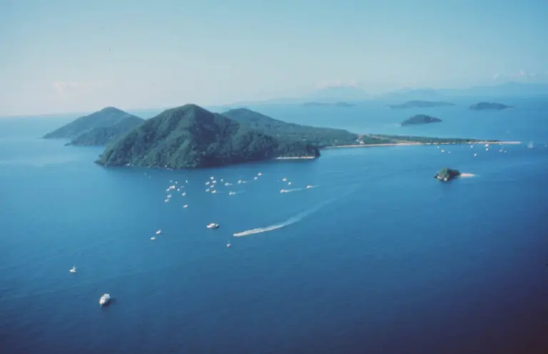 Australien-tropischer-regenwald