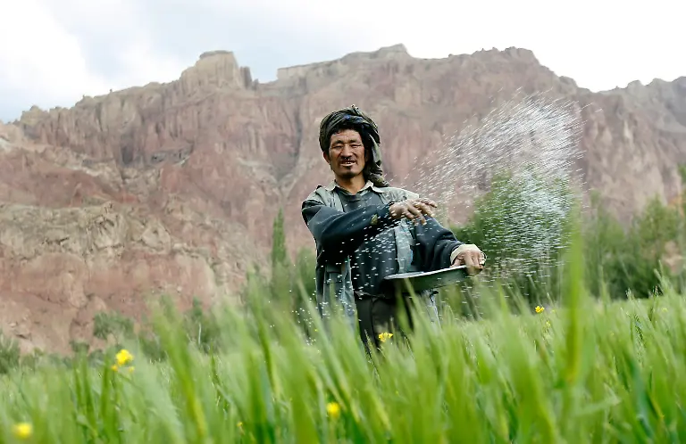 Bauer-Duenger-feld-Afghanstan-Bamijan