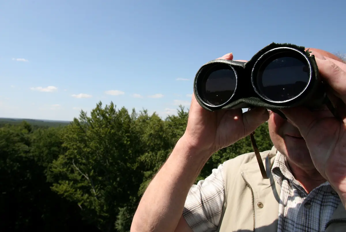 2kv54232-jpg8944567901579558650