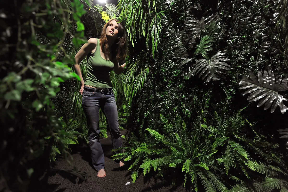 Bremerhaven-Klimahaus-inszenierter-Regenwald-Kamerun