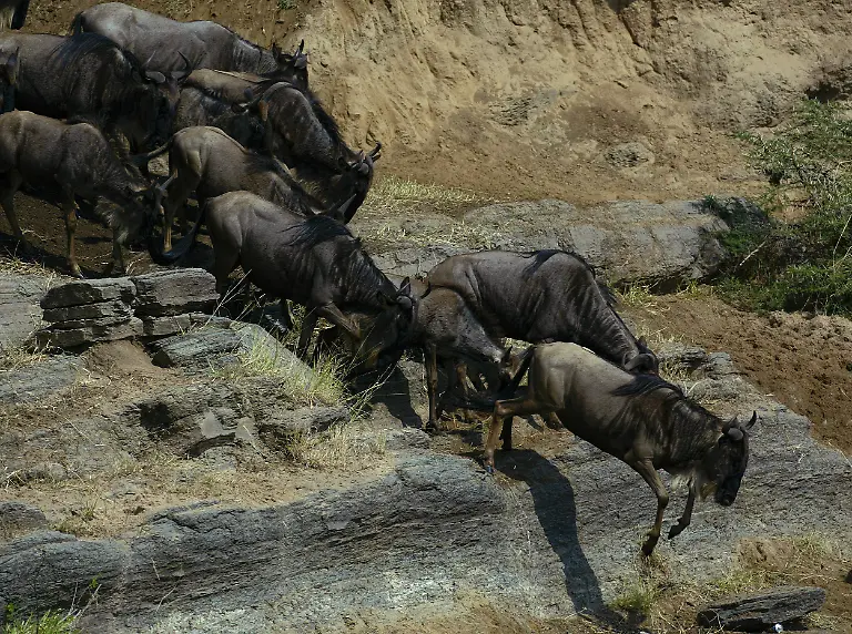 Serengeti-Nationalpark-Tansania-Mara-Fluss-Masai-Mara-kenia