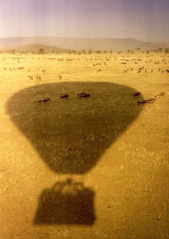 Tansania-serengeti-Ballon