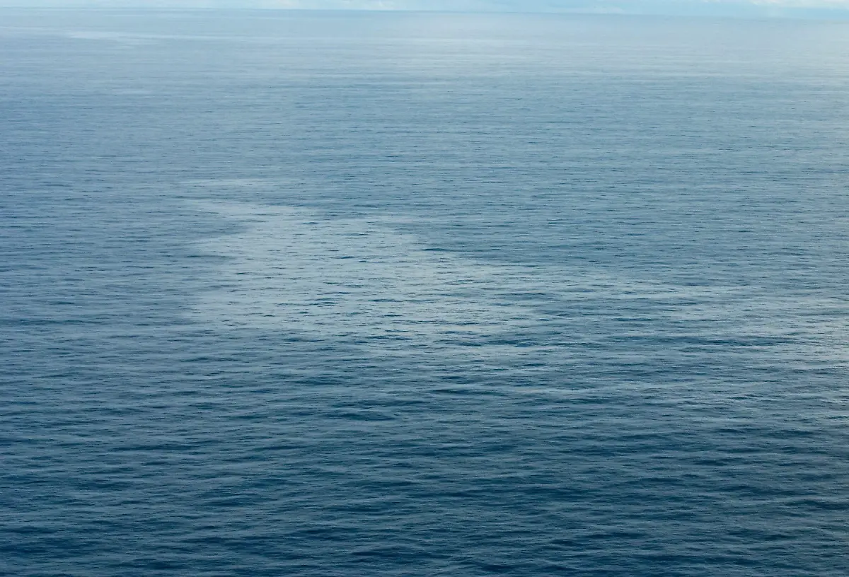 2khv2625-jpg15355959270799549