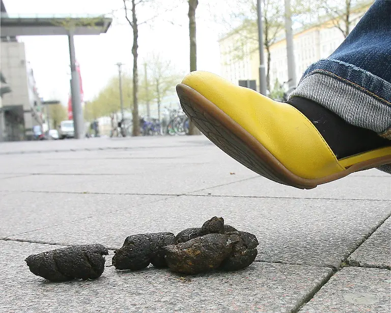 Ueberall-lauern-Tretminen