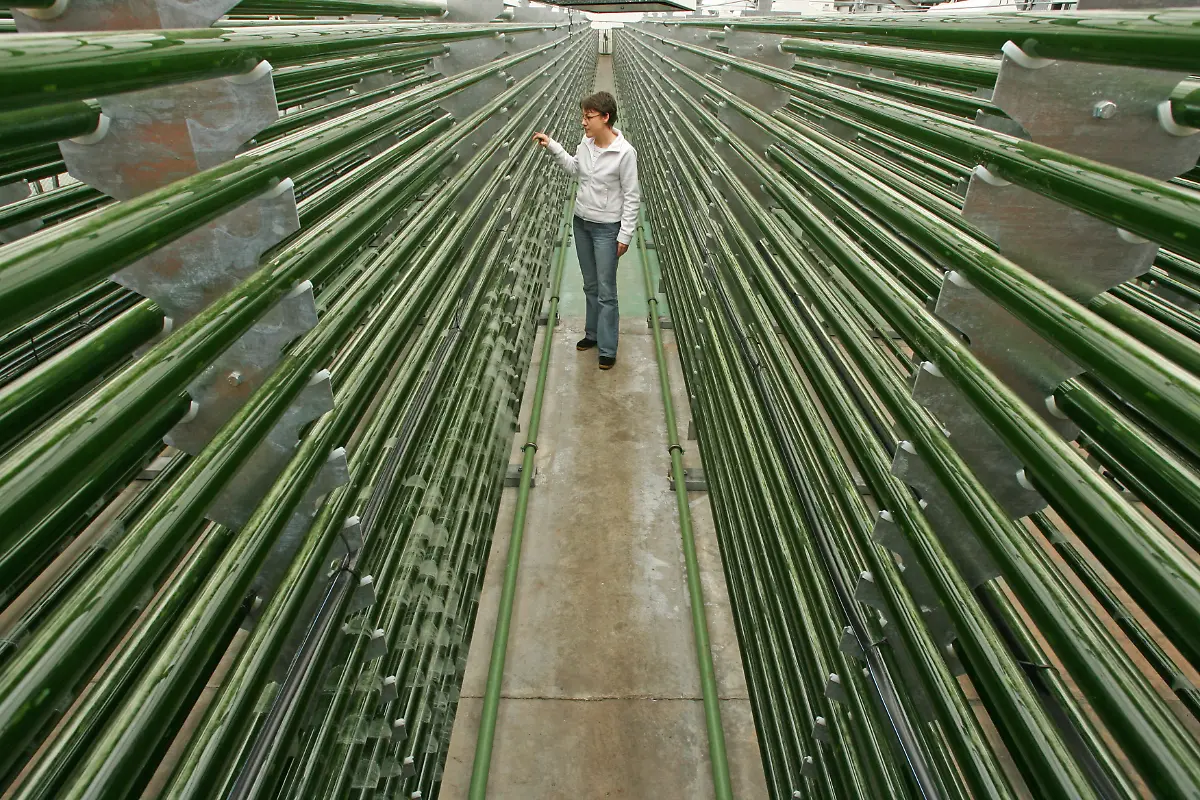 Produktion-kosmetik-gr