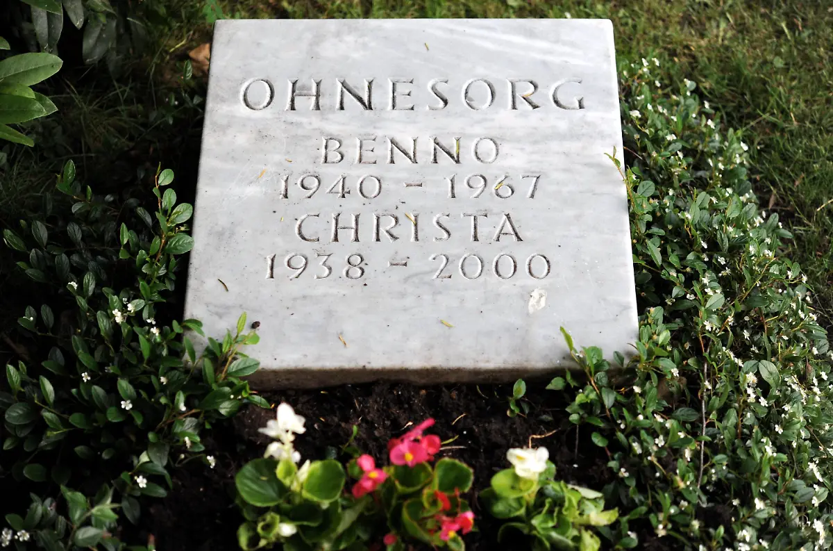 2k901917-jpg6302237402156312820