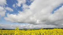 Es wird wärmer: Das Wetter am Mittwoch