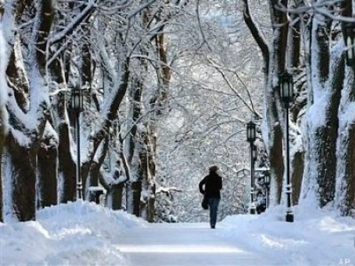 Die-Sicherheitsanforderungen-sind-fuer-die-Inder-problematisch-Eine-direkte-Konfrontation-mit-einem-guten-deutschen-Alleebaum-mag-man-sich-mit-dem-Nano-nicht-gerne-vorstellen
