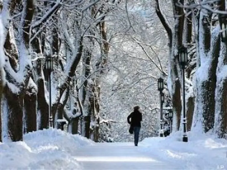 Die-Sicherheitsanforderungen-sind-fuer-die-Inder-problematisch-Eine-direkte-Konfrontation-mit-einem-guten-deutschen-Alleebaum-mag-man-sich-mit-dem-Nano-nicht-gerne-vorstellen