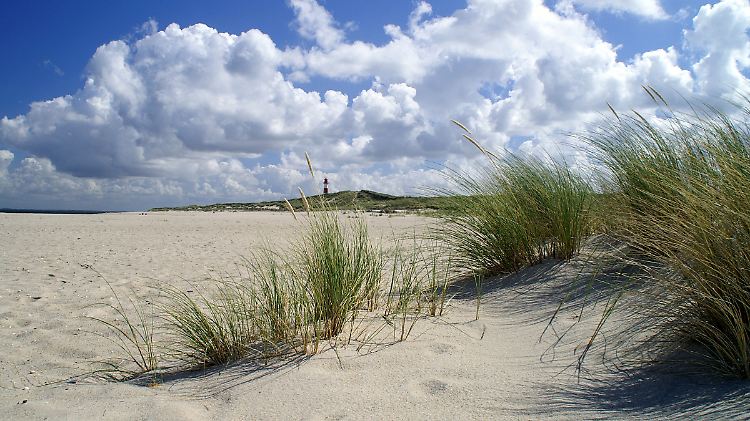 Feiner Sand und weiter Himmel - bei ausgiebigen Spazierengängen am Ellenbogen auf Sylt lässt sich die Landschaft der nordfriesischen Insel erst so richtig erleben.
