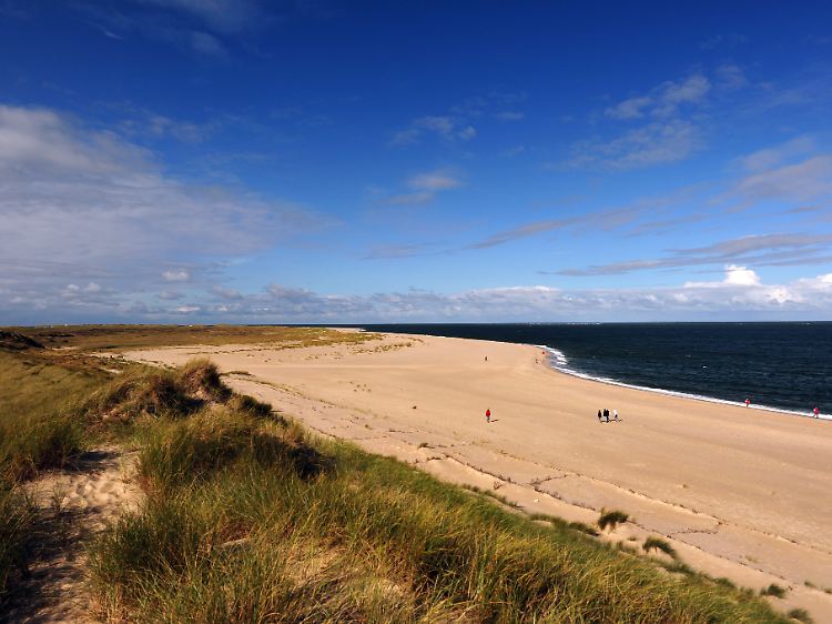 Endlose Weiten - der lange Strand am Ellenbogen von Sylt ist für viele das Schönste an der gesamten Insel.