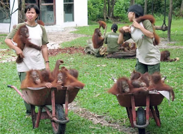 Mit-600-Tieren-ist-Nielsen-mittlerweile-an-ihrer-Kapazitaetsgrenze-angelangt-Manchmal-kommen-mehr-als-zehn-Tiere-im-Monat-an