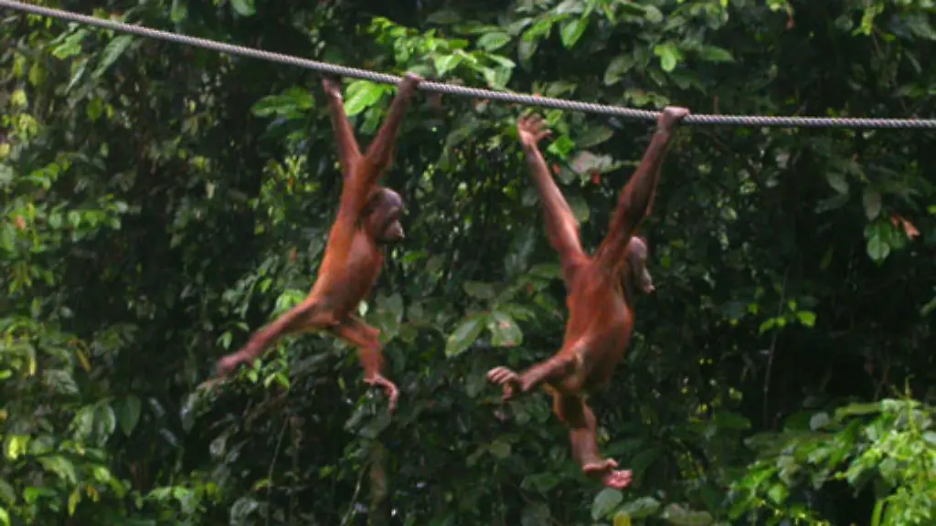 Abends-ist-bei-ihnen-Spielen-angesagt