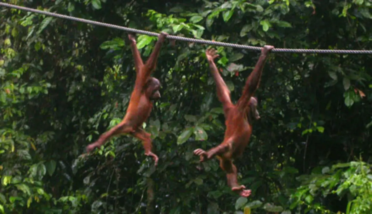 Abends-ist-bei-ihnen-Spielen-angesagt