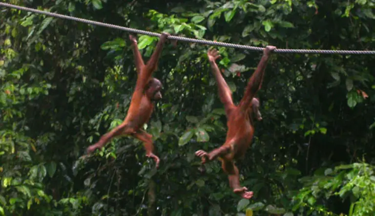 Abends-ist-bei-ihnen-Spielen-angesagt