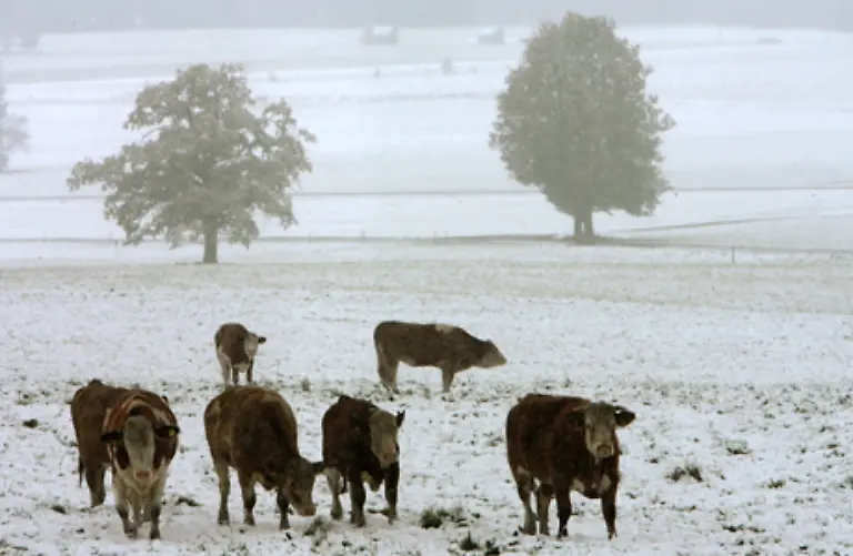 Die-Tierwelt-nimmt-den-Wechsel-der-Jahreszeiten-gelassen
