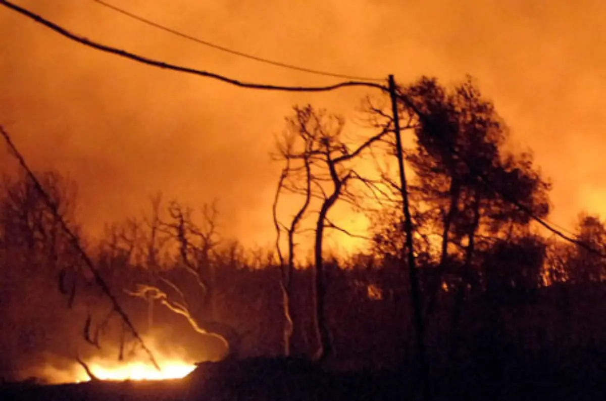 In-Suedeuropa-wueten-Waldbraende-Der-Sommer-2007-ist-schon-jetzt-in-die-Geschichte-der-schlimmsten-Brandkatastrophen-eingegangen