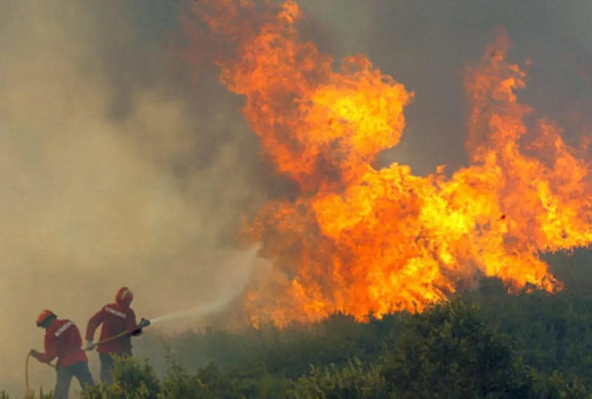 Wenn-der-Wind-dreht-breiten-sich-die-Feuer-ploetzlich-in-Sekundenschnelle-in-eine-andere-Richtung-aus