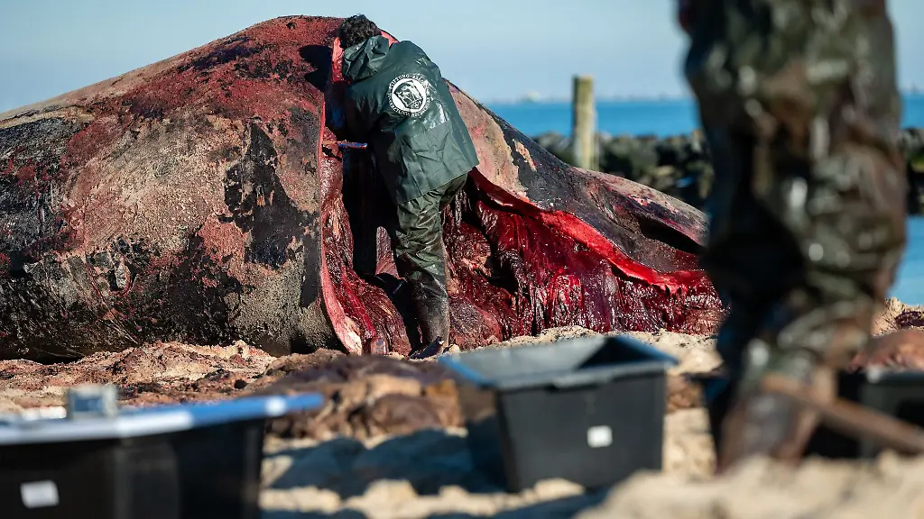 Auf-Sylt-nahmen-die-Wissenschaftler-im-Februar-viele-Proben-die-jetzt-weiter-analysiert-werden