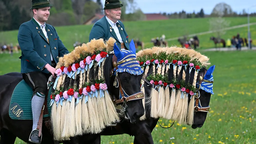 Die-Pferde-sind-beim-Georgiritt-festlich-geschmueckt
