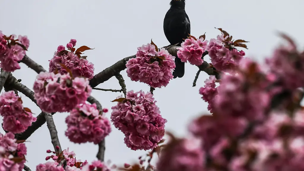 Ostern-und-danach-Das-Wetter-ist-typisches-Aprilwetter