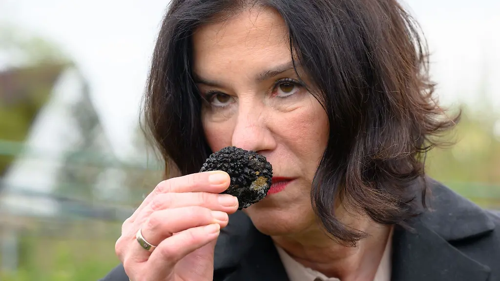 Seit-2016-zuechtet-die-Thueringer-Freilandpilze-GmbH-Trueffel-und-baut-verschiedene-Pilzarten-wie-Austernseitlinge-und-Shiitake-an-Agrarministerin-Colette-Boos-John-CDU-verschafft-sich-einen-Eindruck