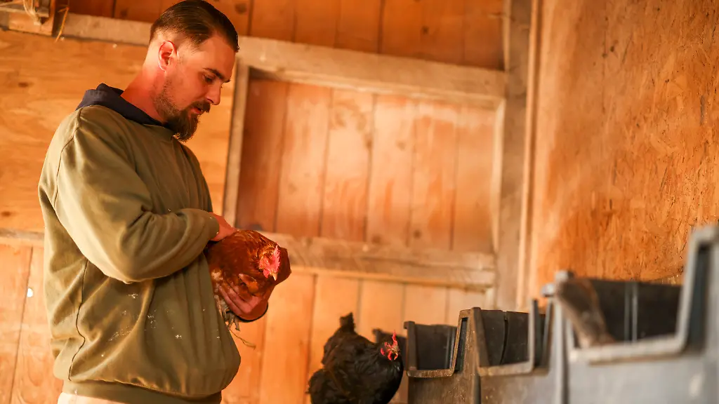 b26b0b54651bee4c6de3b17154fabfcb