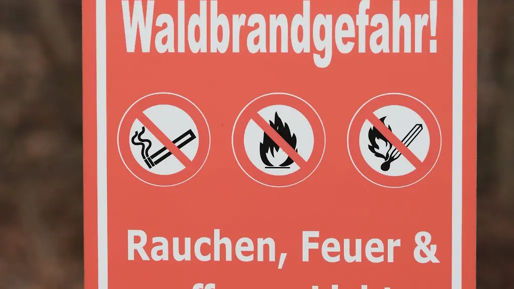 Die-Waldboeden-in-vielen-Gebieten-Niedersachsens-sind-zu-trocken