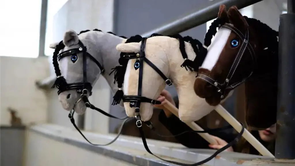 Was-steckt-hinter-dem-neuen-Trendsport-Hobby-Horsing