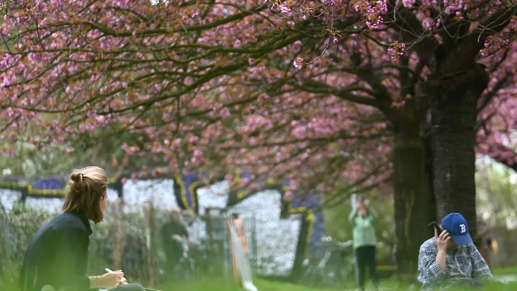 Fruehling-in-Berlin-Die-Temperaturen-steigen-kurz-vor-Ostern-auf-fast-30-Grad