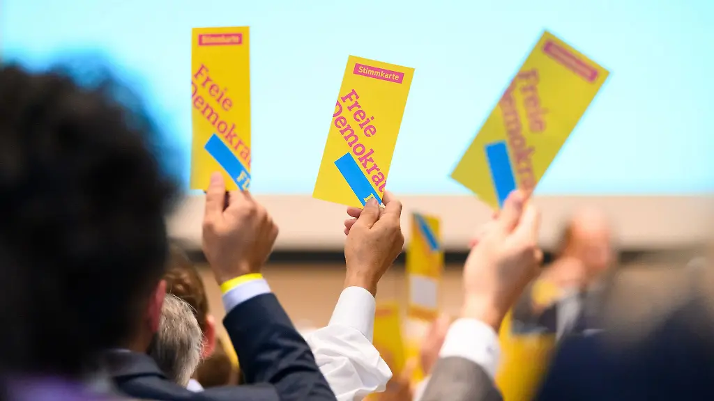 Die-FDP-Hamburg-hat-eine-neue-Fuehrung-gewaehlt