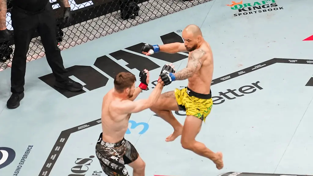 8b799bce6e86c0d7fd99077a7e74a828