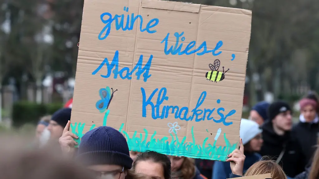 Teilnehmer-demonstrierten-auch-gegen-die-geplante-Erweiterung-des-Rostocker-Hafens