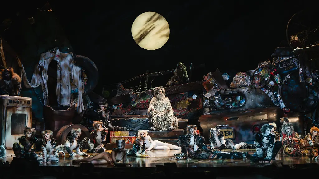 cats-foto-04-credit-Xiadong-scaled