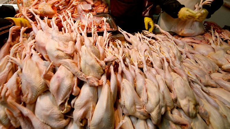 Die Geflügelproduktion in Deutschland verzeichnet in diesem Jahr bisher den größten Zuwachs.