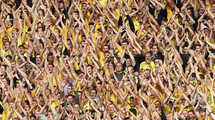 3000 BVB-Fans fuhren mit nach Hoffenheim. Immer, wenn sie 1899-Mäzen Dietmar Hopp beleidigten, wurde ein Störgeräusch eingespielt.