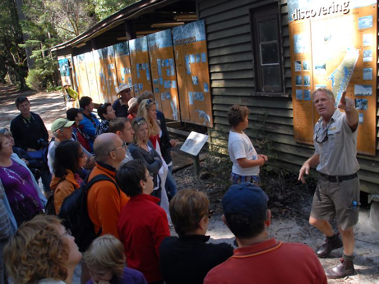 Uralter Sand, außergewöhnliche Bäume: Touristenführer Jon Willert erklärt seiner Busgruppe die Besonderheiten von Fraser Island.