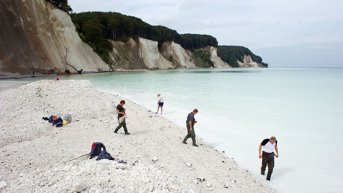 Die Kreidebrocken wurden bis zu 100 Meter weit in die Ostsee geschleudert und färbten das Wasser weiß.
