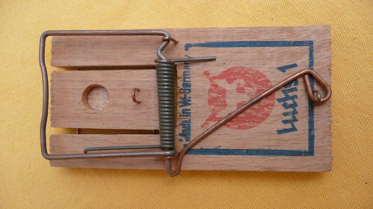 Eine Schlagbügelfalle - wohl die bekannteste Art der Mausefalle.