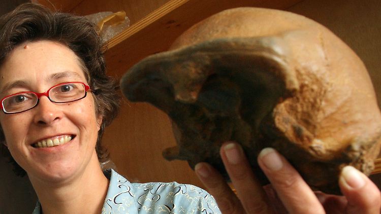 Auf Java wurden bereits mehrere Schädelknochen des Homo erectus entdeckt.