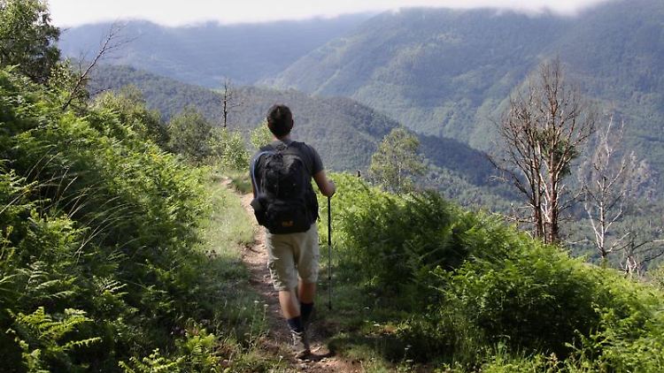 Besonders beliebt bei Sporturlaubern sind Wandern, Radfahren und Motorsport.