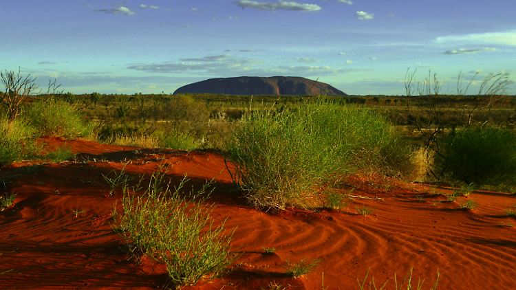 Sonnenuntergang am Uluru (Ayers Rock).