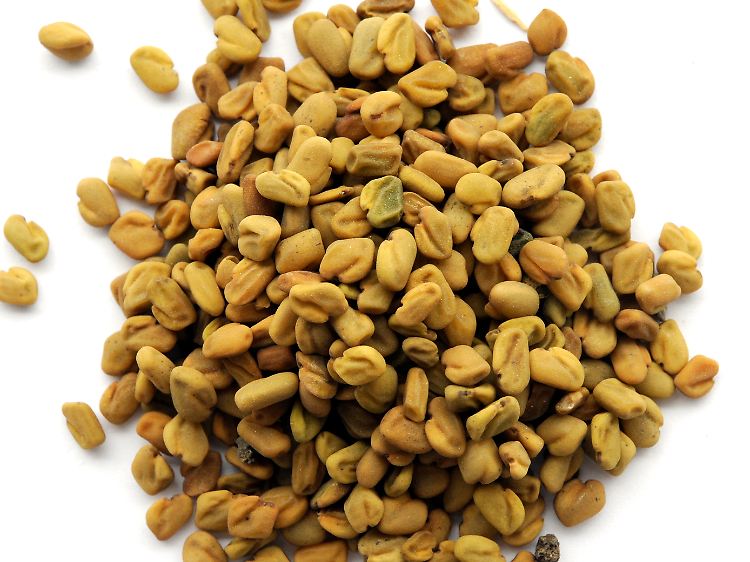 Bockshornkleesamen ist eher unscheinbar.