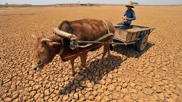 In China ist Wassermangel und Dürre ein ernstes Problem für die Landwirtschaft.