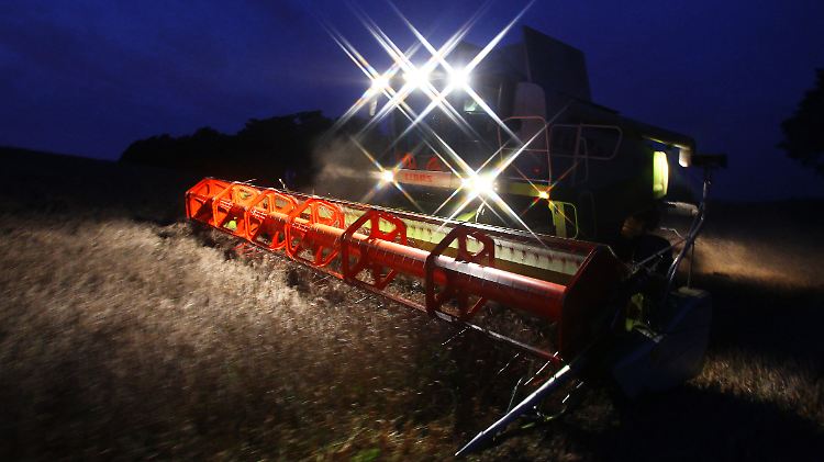 Bis tief in die Nacht - wenn das Wetter mitspielt.