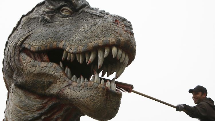 Zahnreinigung mal anders ... Auch das Gebiss eines Geisterbahn-Dinos will gepflegt sein.