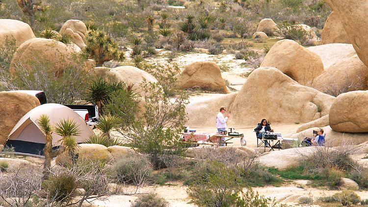 Urlauber auf einem Campingplatz im Joshua-Tree-Nationalpark.